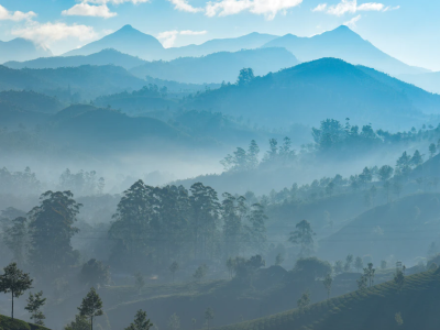 pg电子游戏(试玩)官方网站-APP下载